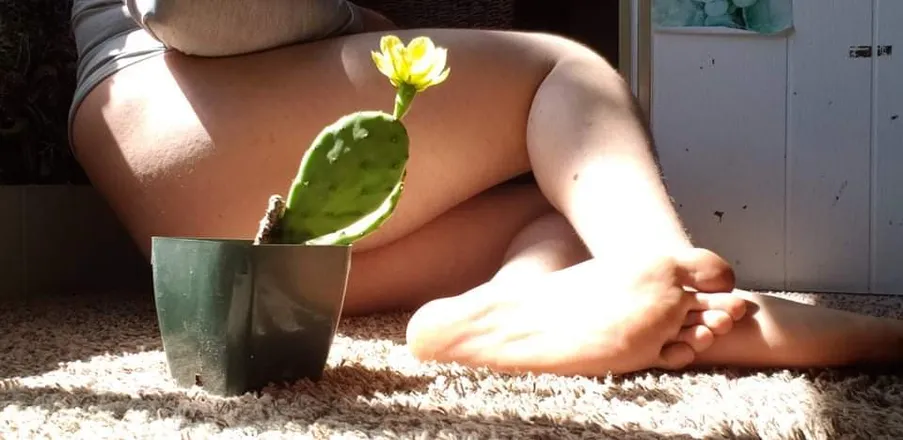 OnlyFans cuenta piel_y_cardos header 2