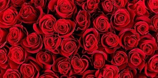 OnlyFans cuenta ninobrown_xo header 2