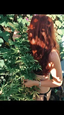 OnlyFans cuenta onlyplantsforyou avatar 1