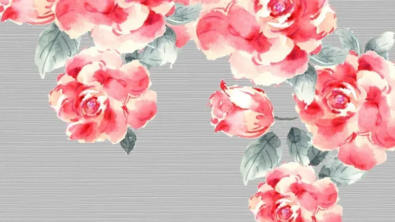 OnlyFans account  beebaes header 2