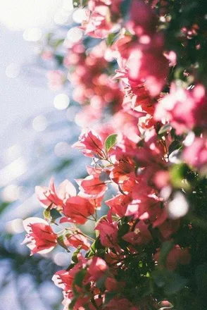 OnlyFans cuenta elenamaria97 header 2