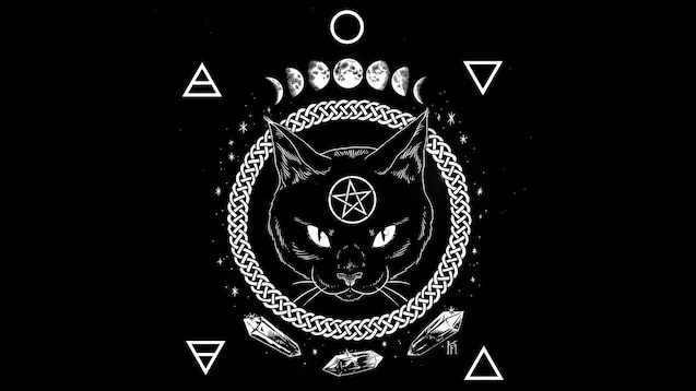 OnlyFans account  gothic.kitten header 2