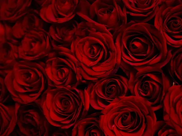 OnlyFans cuenta apexafterdark header 1