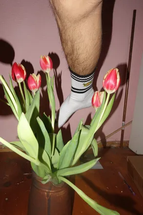 OnlyFans cuenta josefpanda header 2
