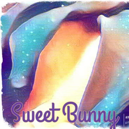 OnlyFans cuenta sweetbunnyhun avatar 1