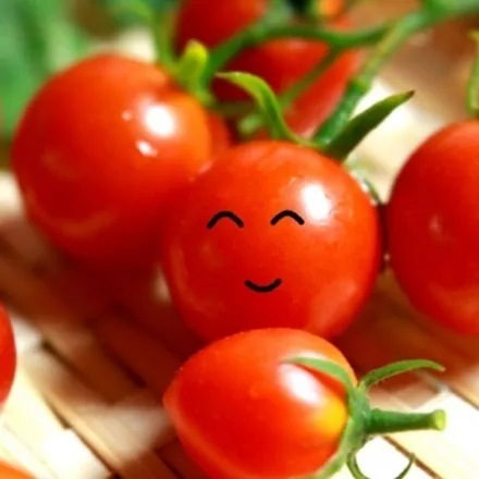 OnlyFans cuenta tomato1195 header 2