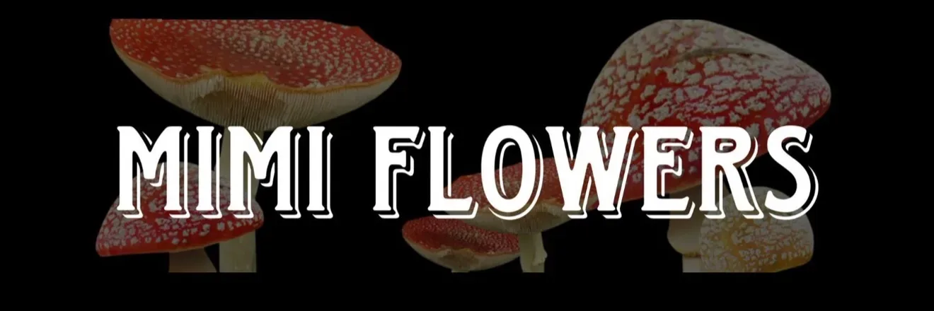 OnlyFans cuenta mimi_flowersss header 2