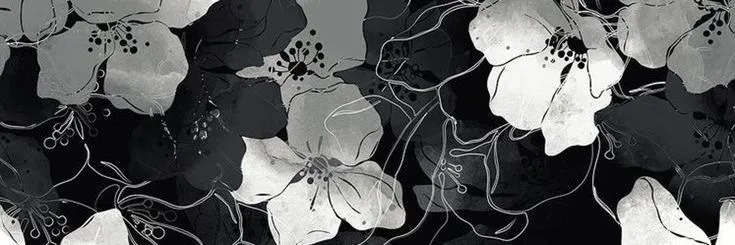 OnlyFans cuenta whitespiderlily header 2