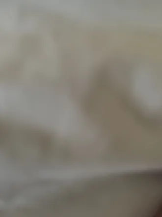 OnlyFans cuenta pawgs_r_us2 header 2