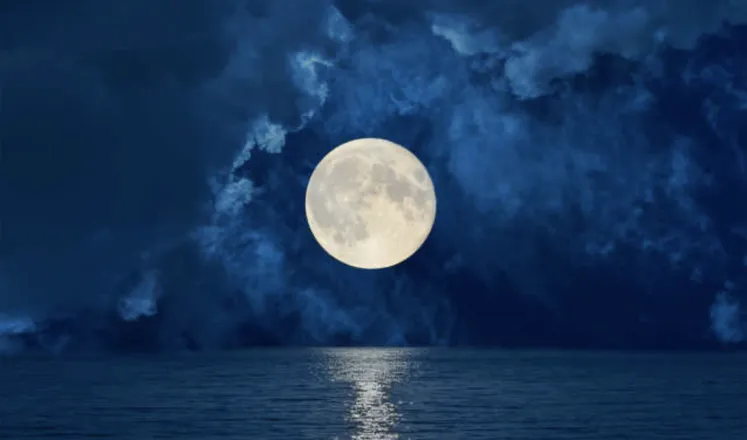 OnlyFans cuenta alimoon8 header 1