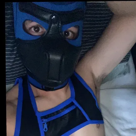 OnlyFans cuenta puppyboijay avatar 1