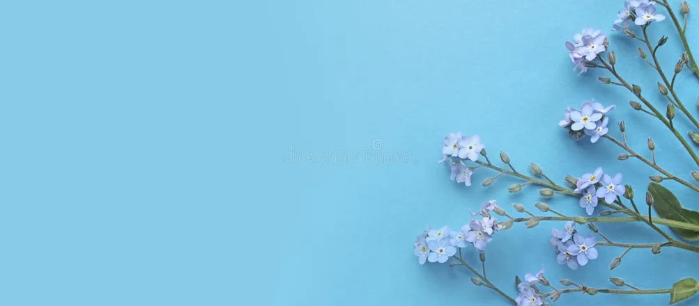 OnlyFans cuenta therry_big header 2