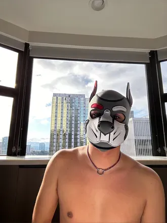 OnlyFans account  txnflrda avatar 1
