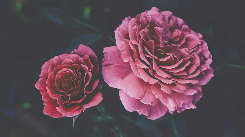 OnlyFans cuenta luna_lumos header 2