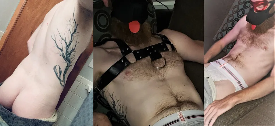 OnlyFans cuenta otrpupbjorn header 2