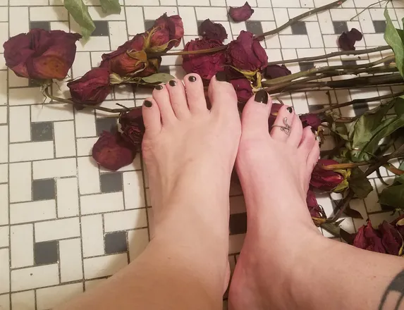 OnlyFans cuenta annedearddd header 2