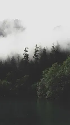 OnlyFans cuenta country_fit header 2
