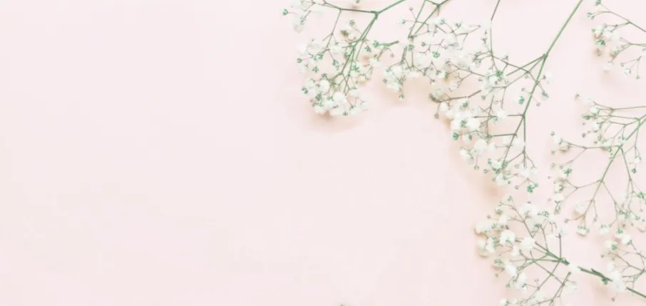 OnlyFans cuenta kippiex header 2