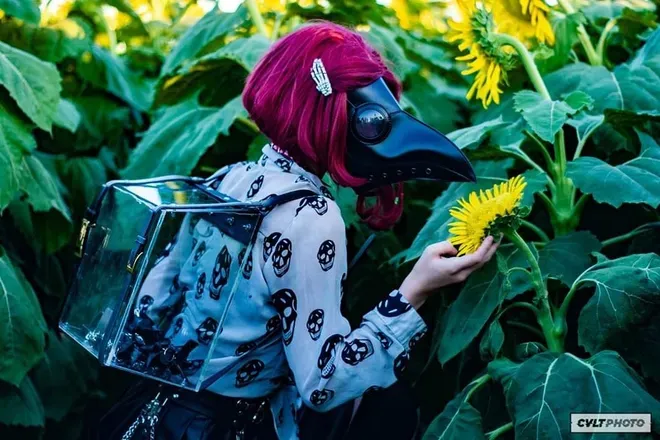 OnlyFans cuenta cytxrhellwolf header 2