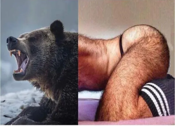 OnlyFans account  djryderxxx header 2