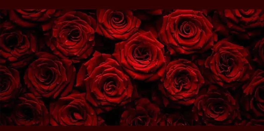 OnlyFans cuenta arjocelinn header 2
