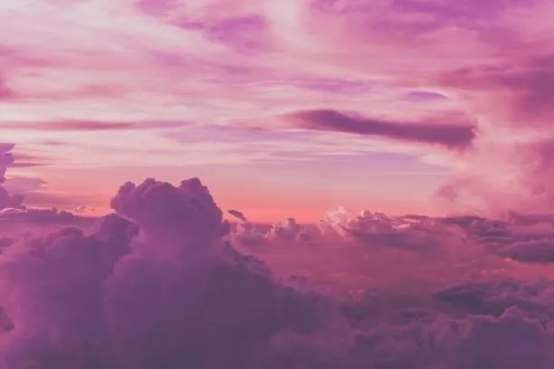 OnlyFans cuenta paleywhitething header 2