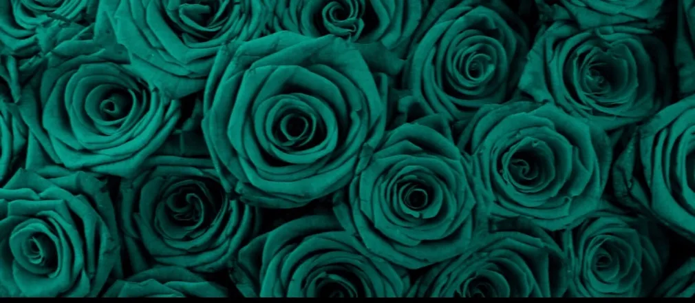 OnlyFans cuenta emerald_eyes1 header 2