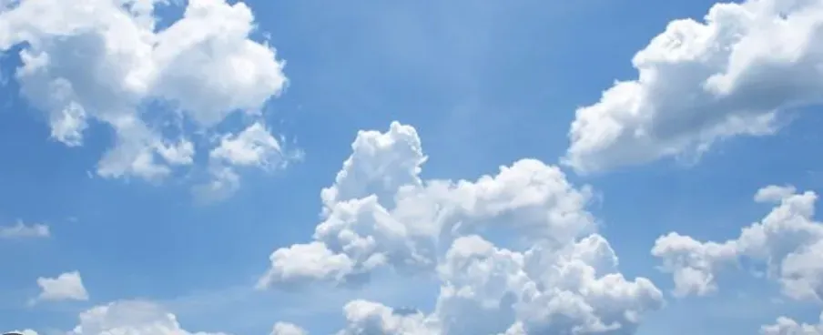OnlyFans cuenta lickmefromtoetotoe header 2