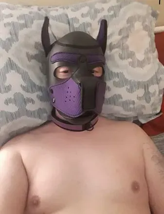 OnlyFans cuenta pupnico94 avatar 1