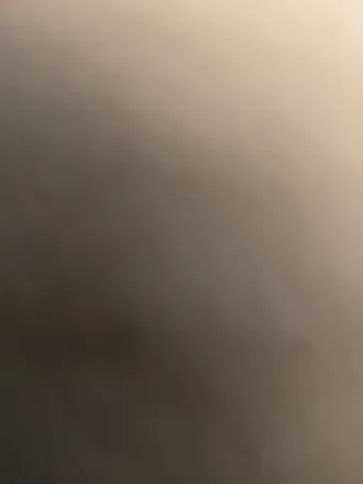 OnlyFans cuenta paigerhodes header 2