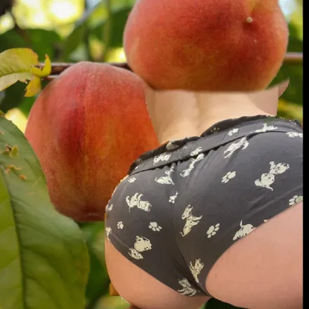 OnlyFans cuenta perkypeachs avatar 1