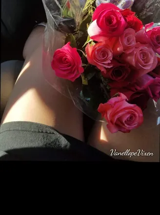 OnlyFans cuenta vanellopevixen header 2
