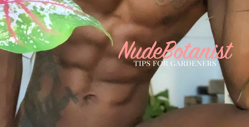 OnlyFans cuenta nudebotanist header 2