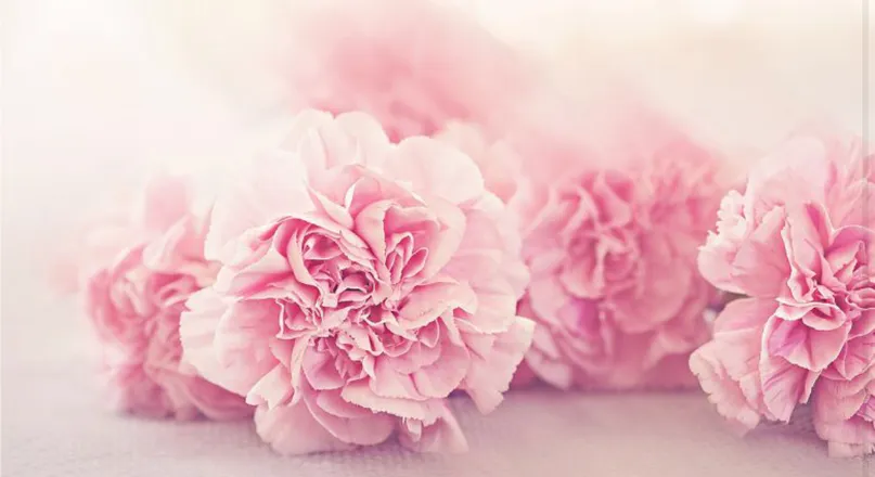 OnlyFans cuenta sweetyflower header 2
