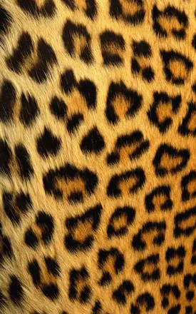 OnlyFans cuenta missfayelouise header 2