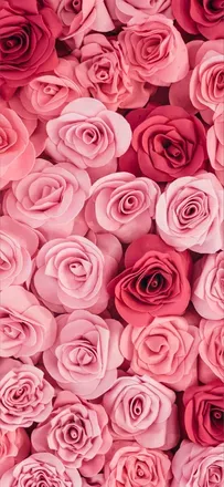 OnlyFans cuenta risss802 header 2