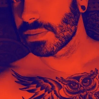 OnlyFans account  nerdfur avatar 1