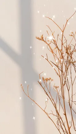 OnlyFans cuenta jennselyy header 2