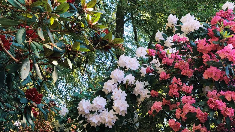 OnlyFans cuenta u219902915 header 2