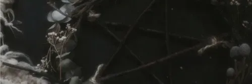 OnlyFans account  grimxox header 2
