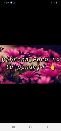 OnlyFans cuenta nessalatraviesa69 header 2