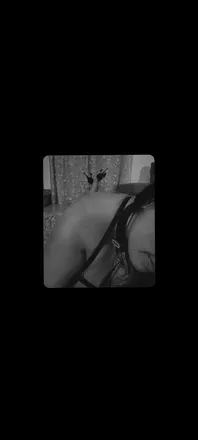OnlyFans cuenta u267865104 header 2