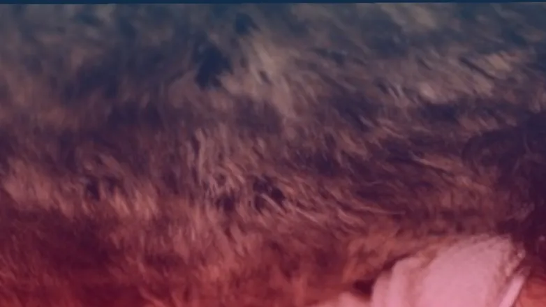 OnlyFans cuenta aloragabe header 2