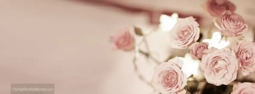 OnlyFans cuenta aimenicole header 2