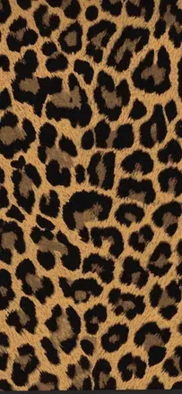 OnlyFans cuenta rianthebartender header 2