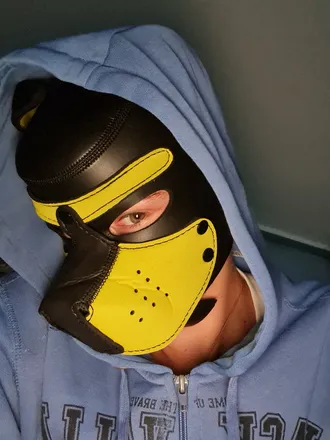 OnlyFans cuenta bigyellowpupper header 2