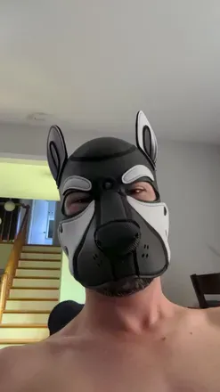 OnlyFans cuenta pupket avatar 1