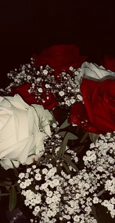 OnlyFans cuenta victoria.saskia header 2