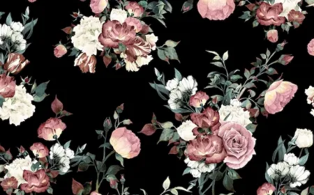OnlyFans cuenta emily_2w header 2