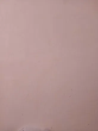 OnlyFans cuenta panditaprin header 2